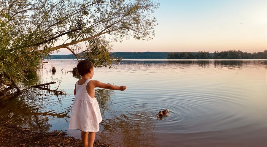 Toddler stands on the lake shore at sunset
